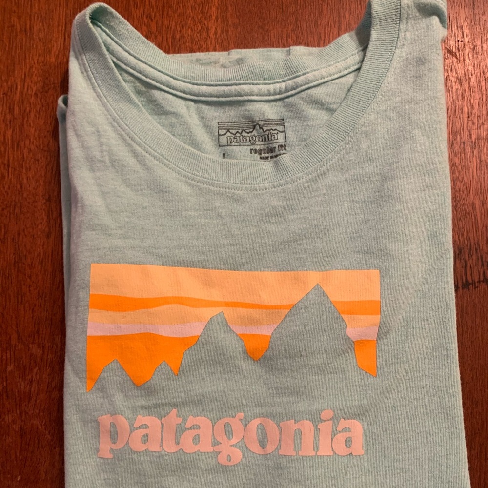 Mint green Patagonia Shirt Size L but fits like M